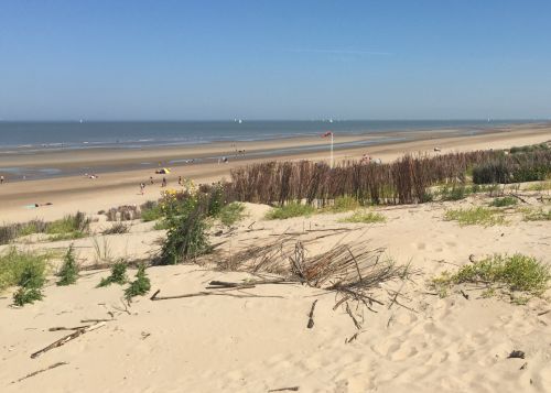 strand De Haan